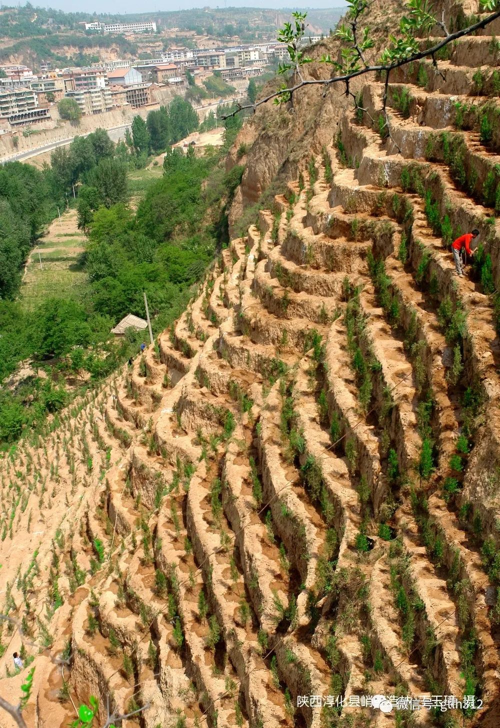 工程建设按照东北华北平原农区,风沙区,黄土高原丘陵沟壑区,西北荒漠