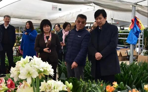 调研龙大花卉市场在座谈会上,张伟国介绍了祝桥镇发展花卉产业的