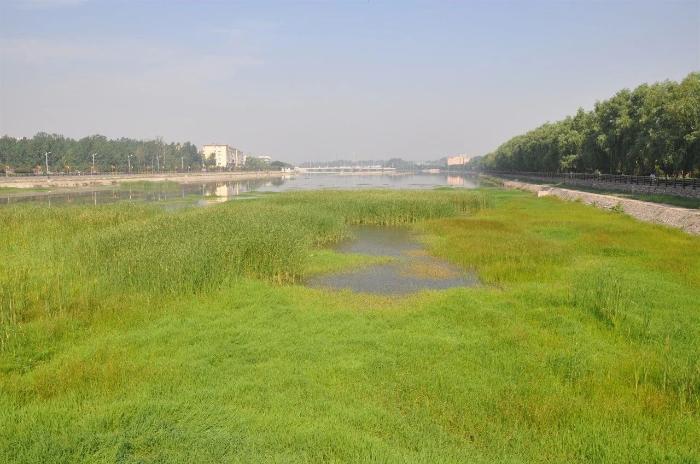 库区省级重要湿地区位独特,优势明显,是黄河小浪底水库建设后形成的
