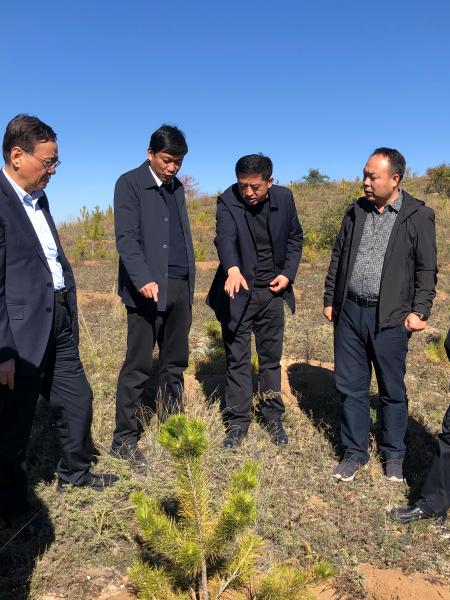 调研组先后深入宜川县黄土高原丘陵沟壑区百万亩水土保持林,赵村峁退