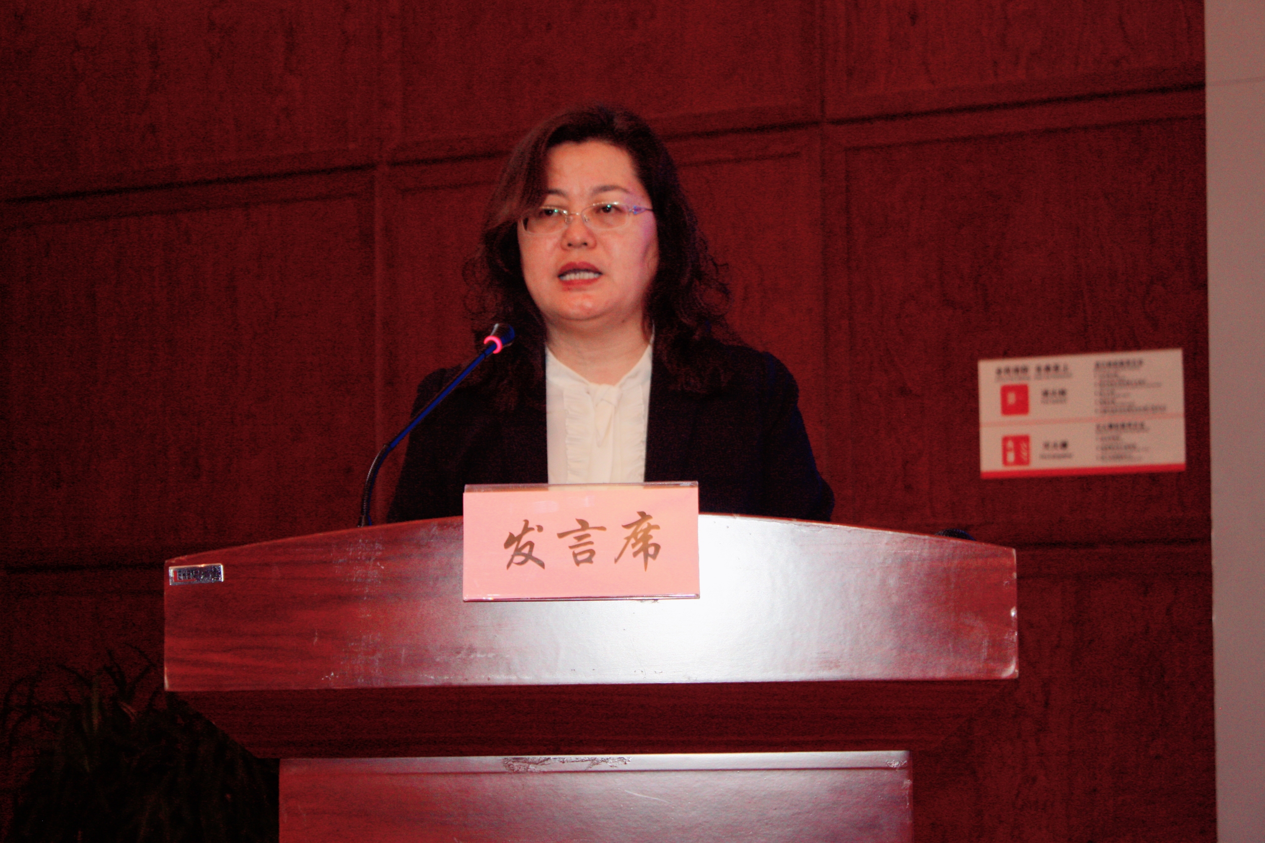 陕西省榆林市副市长贺湘如作典型发言