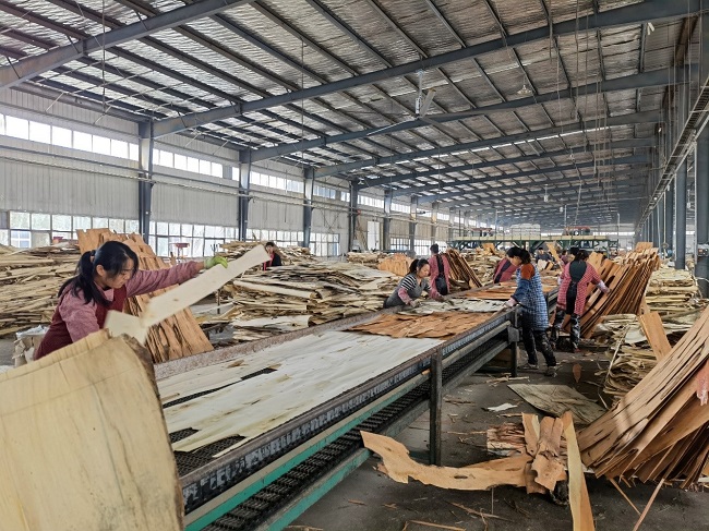 发展院开展邳州官湖国际木材加工贸易区项目调研