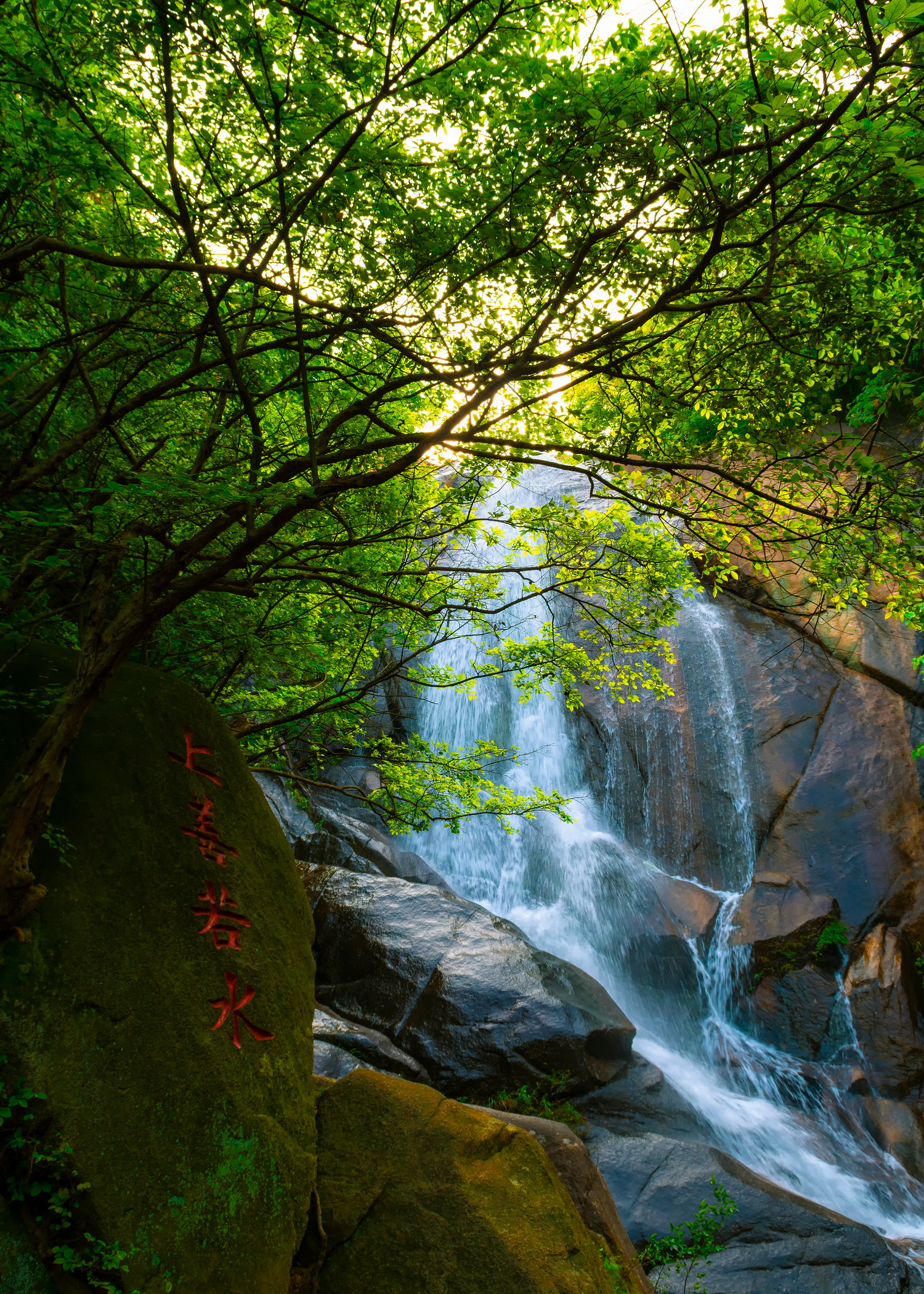 河南连康山国家级自然保护区