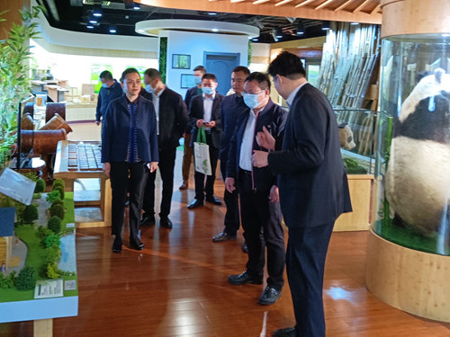 福建省永安市市委书记一行到访国际竹藤中心