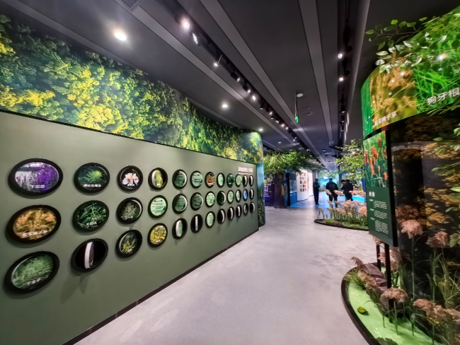 发展院设计的《济源黄河湿地国家级自然保护区科普宣教馆项目》通过