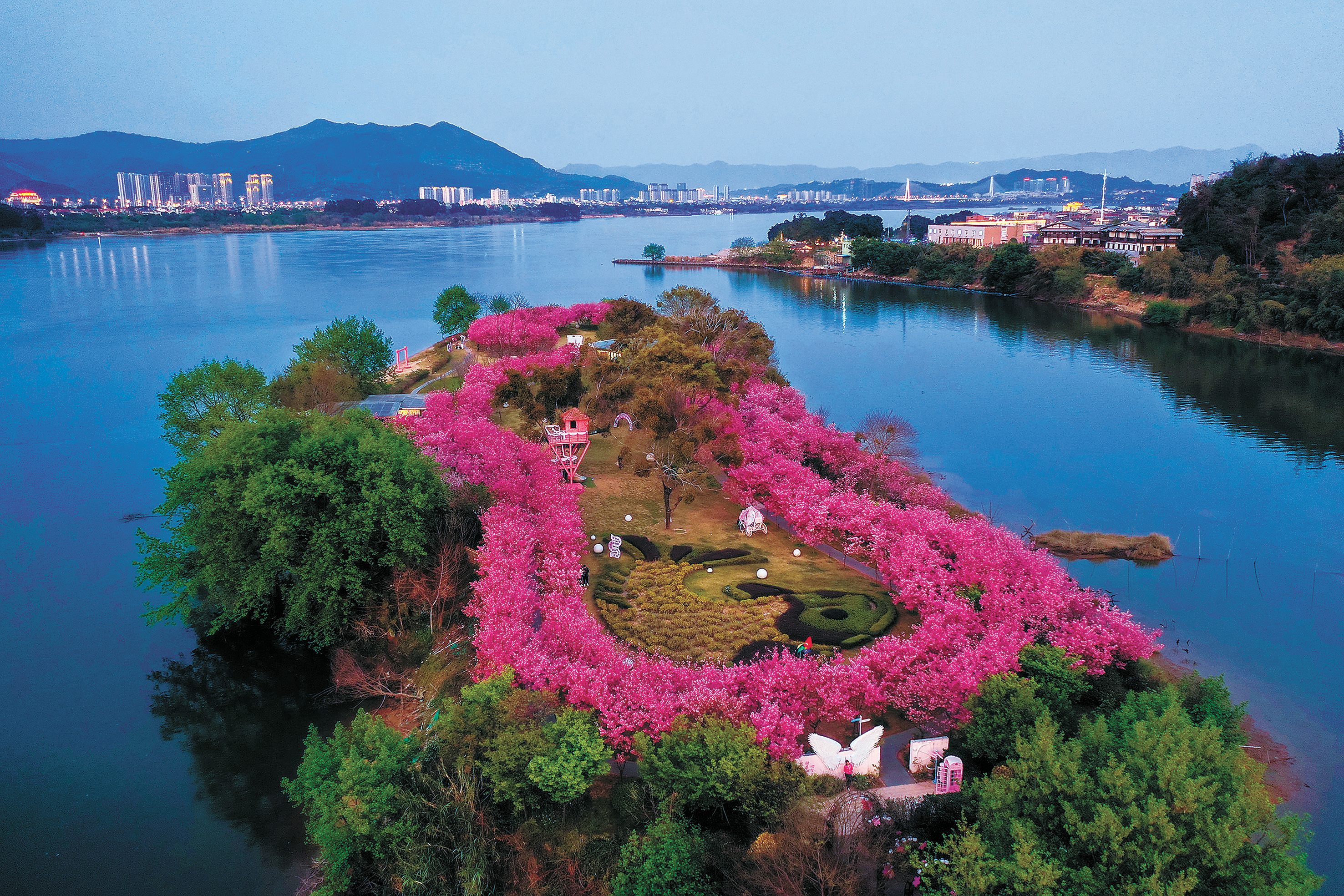 樱花经济如何常开不谢