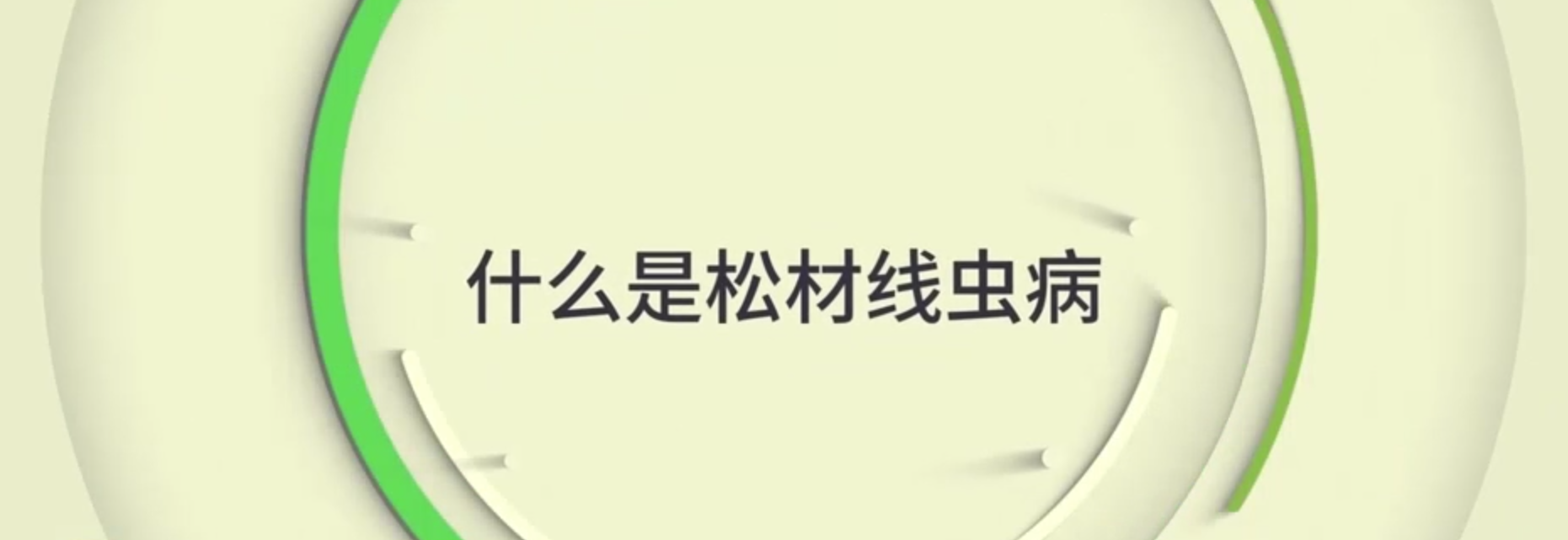 来自远方的威胁：什么在毁灭松林