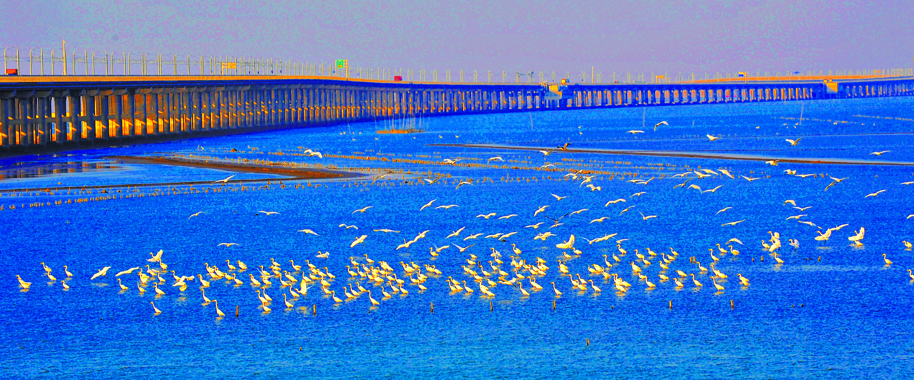 中国绿色碳汇网