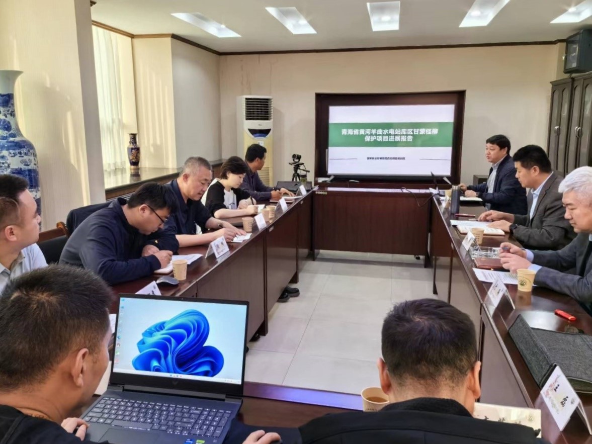 西北调查规划院>院内要闻>会上,院科研项目团队作了青海黄河羊曲水电